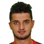 E. Özarslan