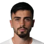 T. Sahin