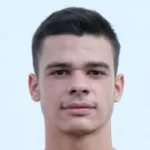 N. Savic