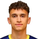 S. Mitrovic