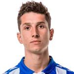 T. Ibrahimagic
