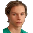J. Heinonen