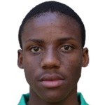 G. Modise