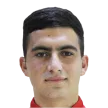 H. Melkonyan