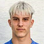 M. Vasil