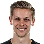 D. Mesenholer