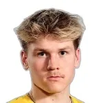 V. Hanninen