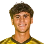 D. Veiga