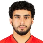 H. Minasyan