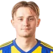 J. Halminen