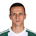 N. Maksimovic