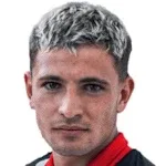 M. Fernandez