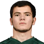 M. Matsuev