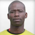 N. Dlamini