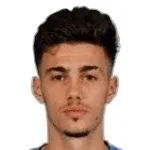 N. Mituljikic