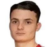 D. Salcinovic
