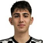 D. E. Tiknaz