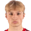 K. Leppsalu