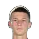 S. Dzodic