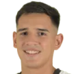 T. Fernandez