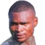 N. S. Dlamini