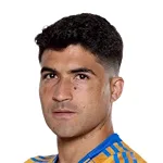 N. Ibanez