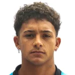 N. Gómez