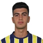 Y. E. Demir