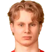 J. Sarkkinen