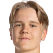 M. Ojanen