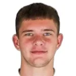 V. Manaev