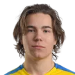K. Koivunen