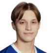 H. Karlsson