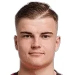 D. Lesnyak