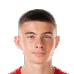 N. Ajanovic