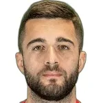 D. Mëllugja