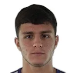 D. Harutyunyan