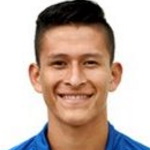 L. E. Benites Vargas