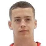 D. Babić