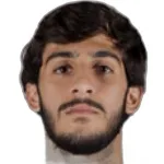 A. Hajabi