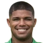 Á. Llanes
