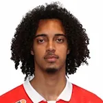 T. Tavares