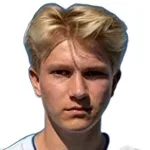 N. Lassen