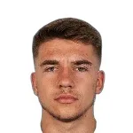 L. Bosnjak