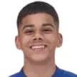 M. Ferreira
