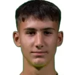 Vuk Draškić