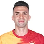 E. Tasdemir