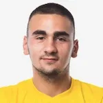 S. Nedić