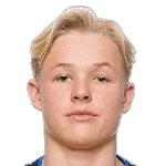 H. Andersson