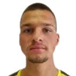D. Rajic